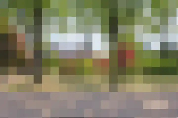 Spirealaan 6 in Waalre
