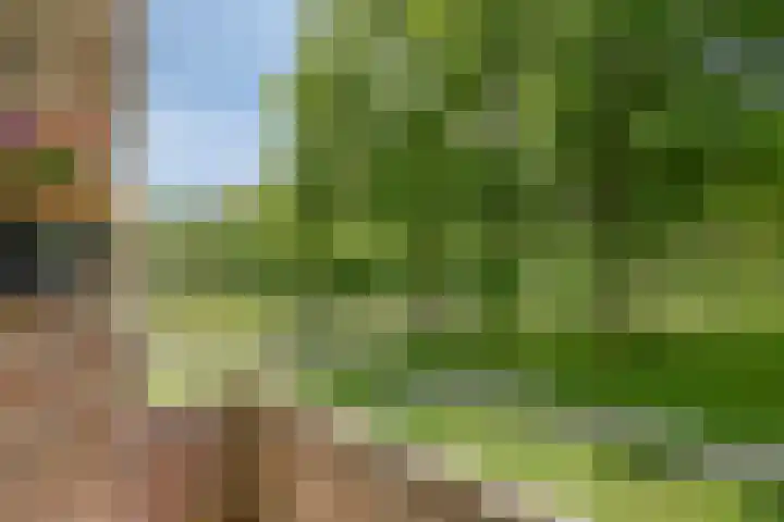 Spirealaan 64 Groningen thumbnail 24