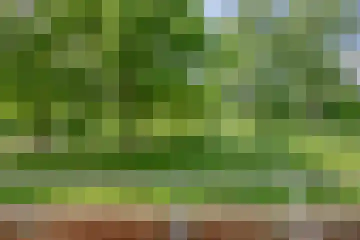 Spirealaan 64 Groningen thumbnail 25