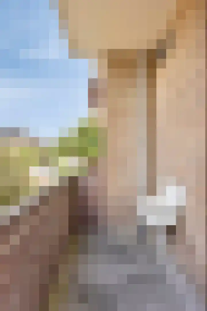 Spirealaan 64 Groningen thumbnail 31