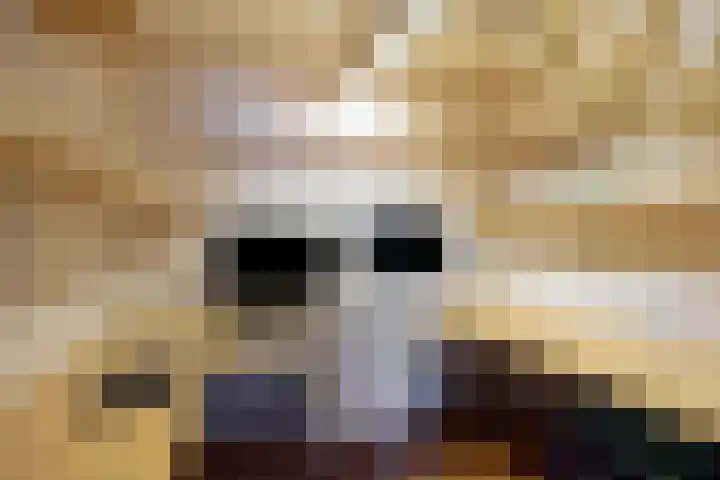 Spirealaan 64 Groningen thumbnail 38