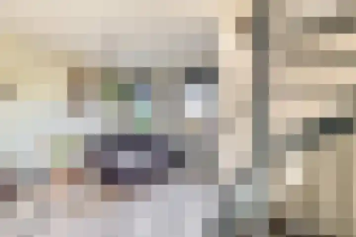 Spirealaan 64 Groningen thumbnail 43
