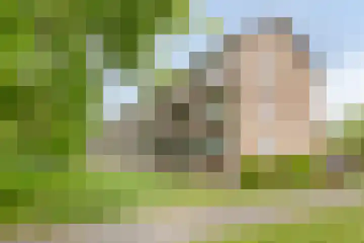 Spirealaan 64 Groningen thumbnail 44