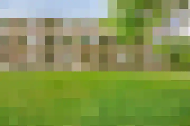 Spirealaan 64 Groningen thumbnail 45