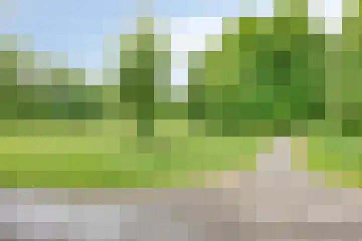 Spirealaan 64 Groningen thumbnail 48