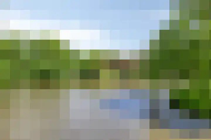 Spirealaan 64 Groningen thumbnail 50