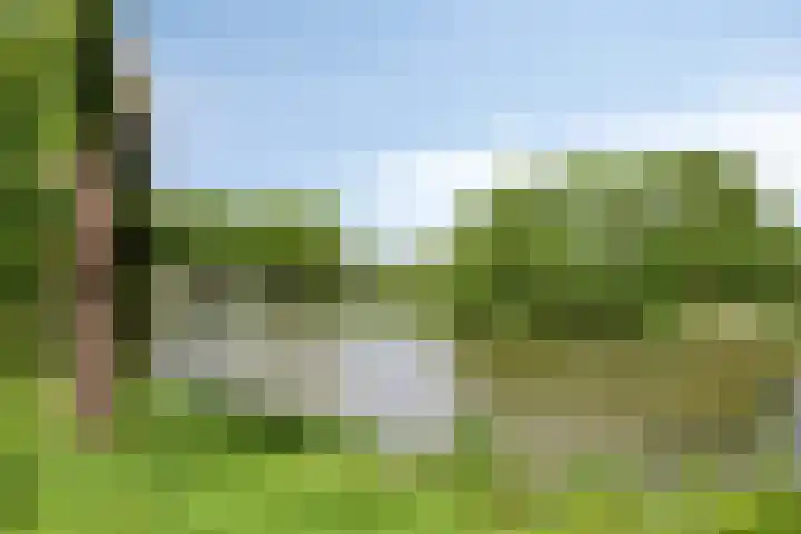 Spirealaan 64 Groningen thumbnail 51