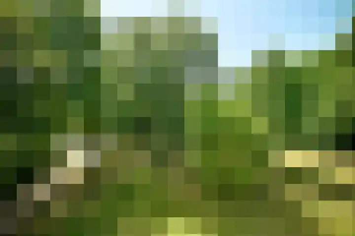 Spirealaan 64 Groningen thumbnail 56