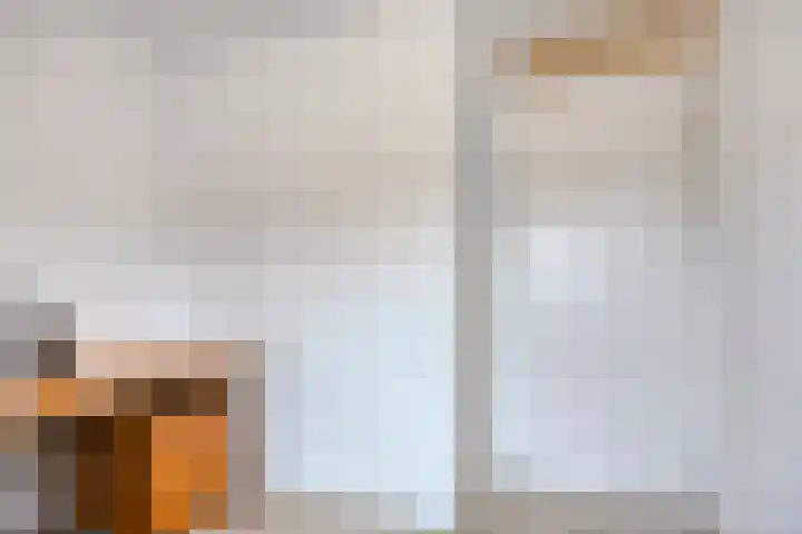 Spirealaan 64 Groningen thumbnail 59
