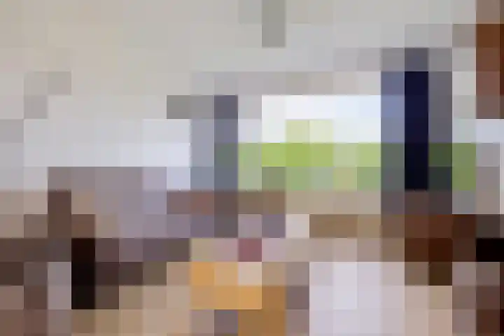 Spitael 102 Drachten thumbnail 8