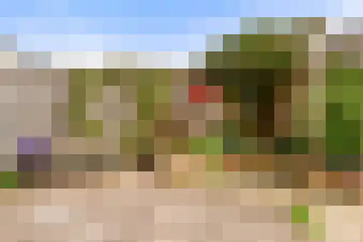 Spitsaak 79 Velserbroek thumbnail 27
