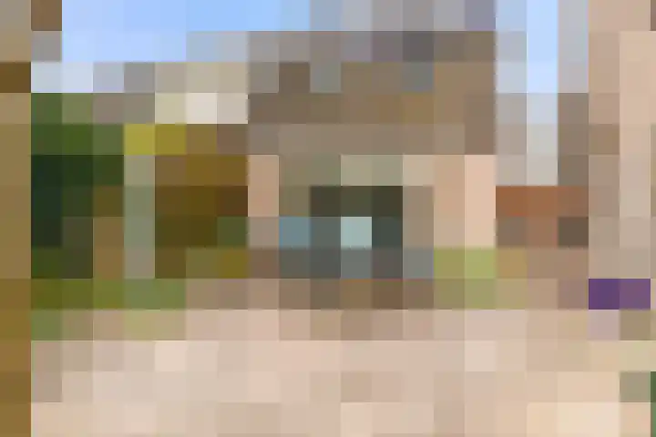 Spitsaak 79 Velserbroek thumbnail 28
