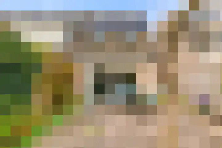 Spitsaak 79 Velserbroek thumbnail 29