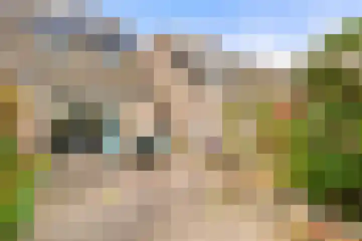 Spitsaak 79 Velserbroek thumbnail 30