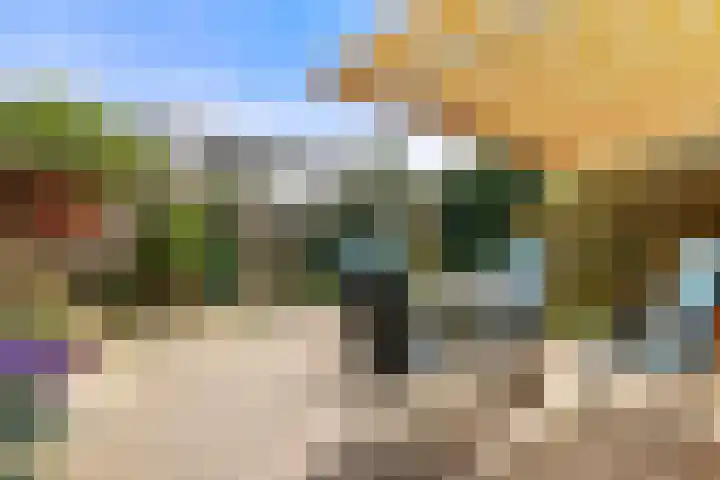 Spitsaak 79 Velserbroek thumbnail 33