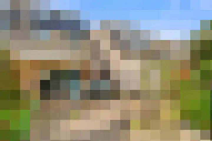 Spitsaak 79 Velserbroek thumbnail 35