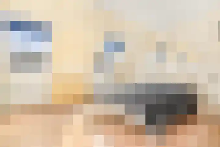 Spitsaak 79 Velserbroek thumbnail 38
