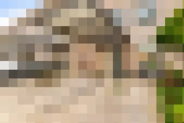 Spitsaak 79 Velserbroek thumbnail 8