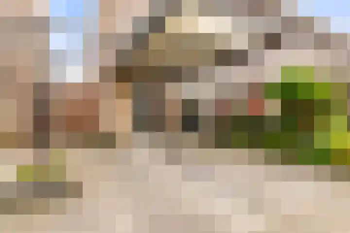Spitsaak 79 Velserbroek thumbnail 9