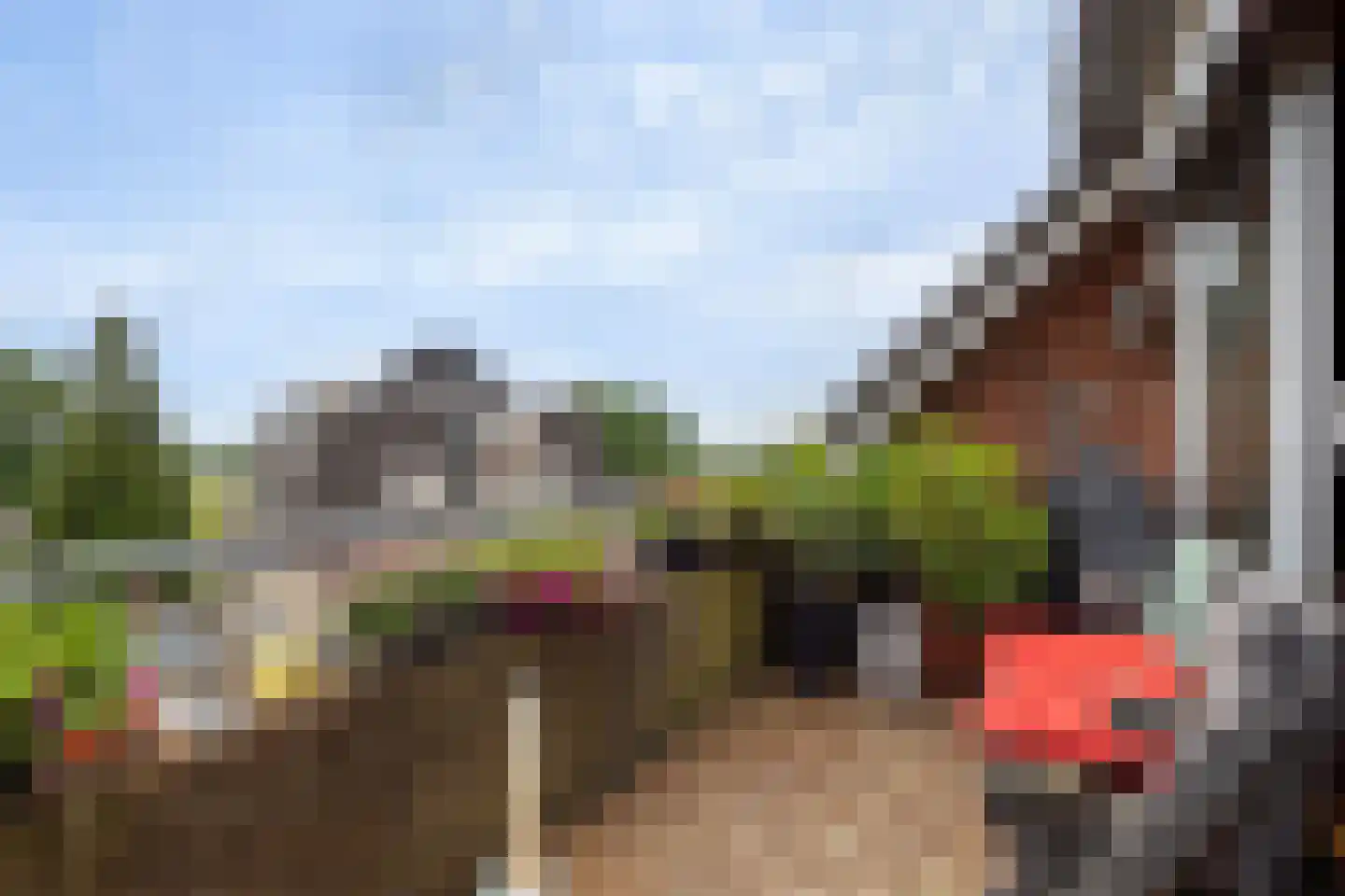 Spitsbergerpad 15 Rhenen thumbnail 14