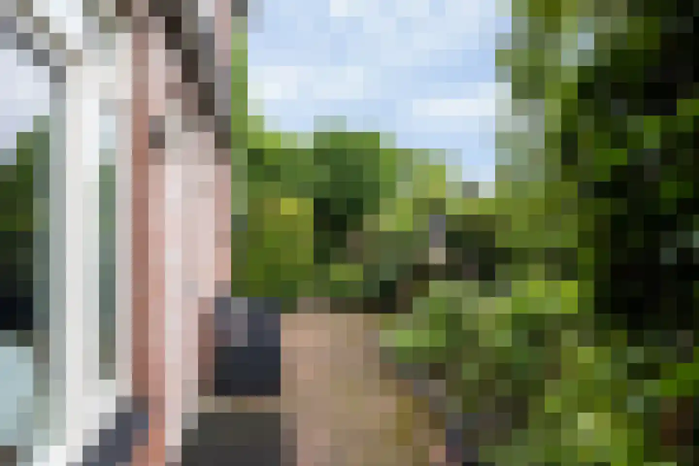 Spitsbergerpad 15 Rhenen thumbnail 31