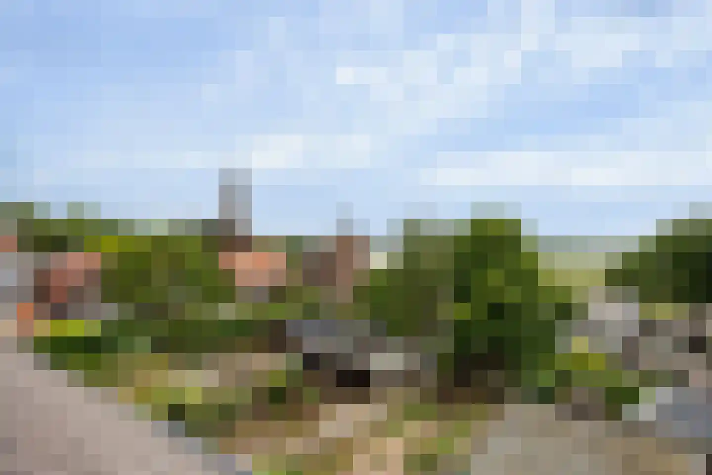 Spitsbergerpad 15 Rhenen thumbnail 38