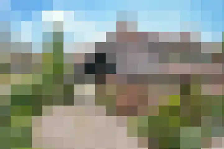 Spitsen 7 Uden