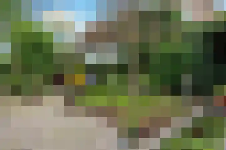 Spitsen 7 Uden thumbnail 10