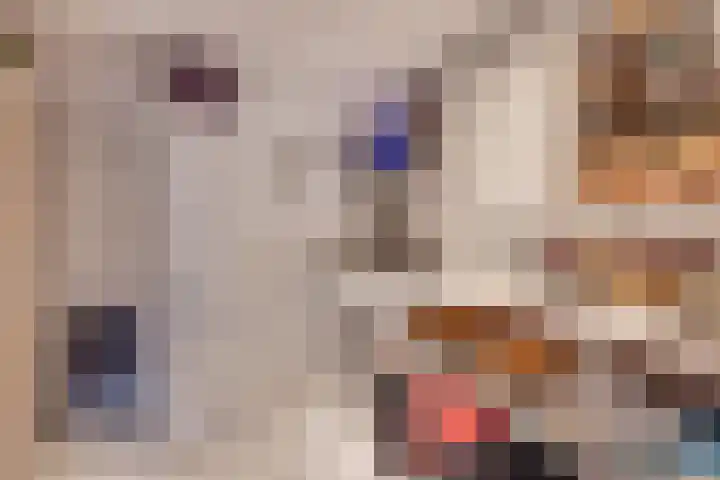 Spitsen 7 Uden thumbnail 19