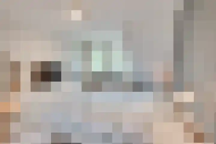 Spitsen 7 Uden thumbnail 20