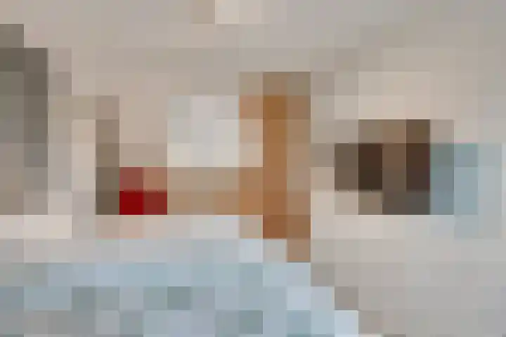 Spitsen 7 Uden thumbnail 21