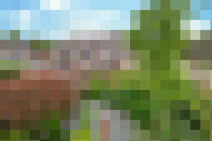 Spitsen 7 Uden thumbnail 6