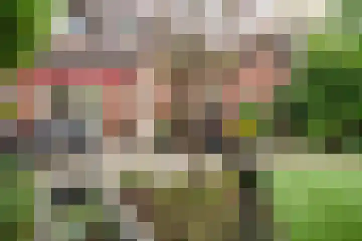 Spitsen 7 Uden thumbnail 7