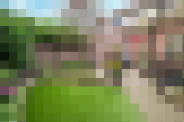 Spitsen 7 Uden thumbnail 8