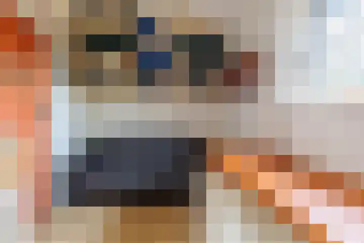 Spitsestraat 1 Appeltern thumbnail 15