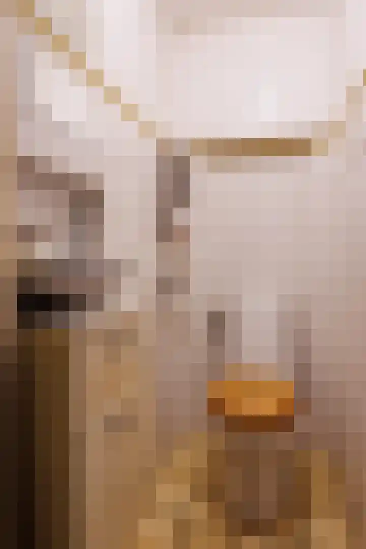 Spitsestraat 1 Appeltern thumbnail 28