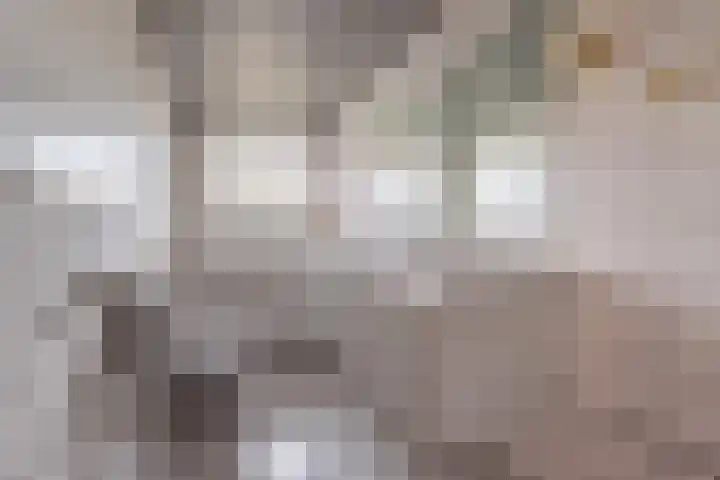 Spitsestraat 1 Appeltern thumbnail 32
