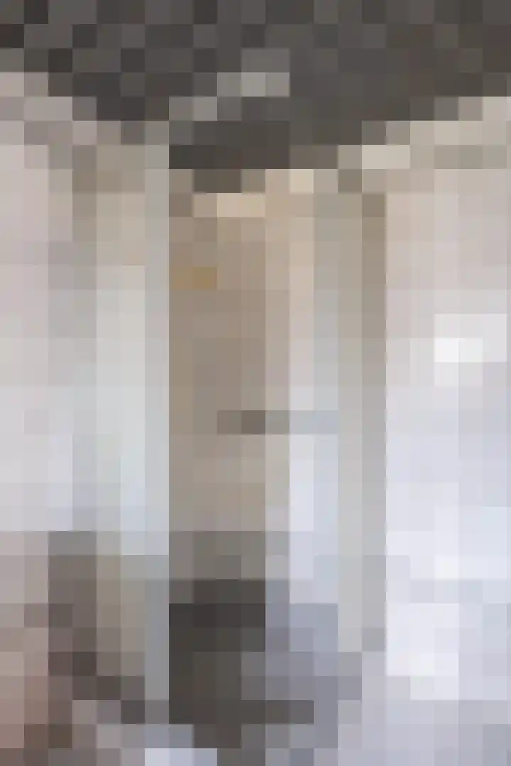 Spitsestraat 1 Appeltern thumbnail 34