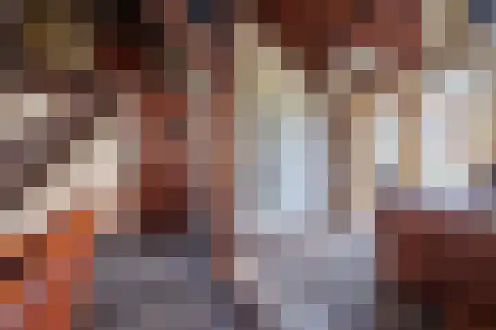 Spitsestraat 1 Appeltern thumbnail 42