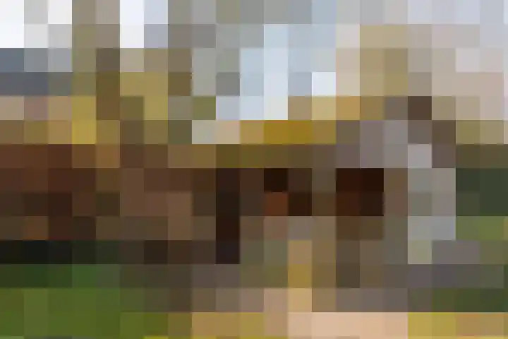 Spitsestraat 1 Appeltern thumbnail 76