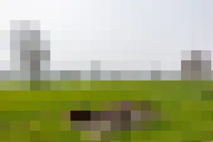 Spitsestraat 1 Appeltern thumbnail 82