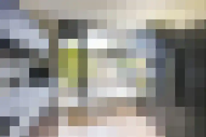Spletting 17 Etten-Leur thumbnail 15