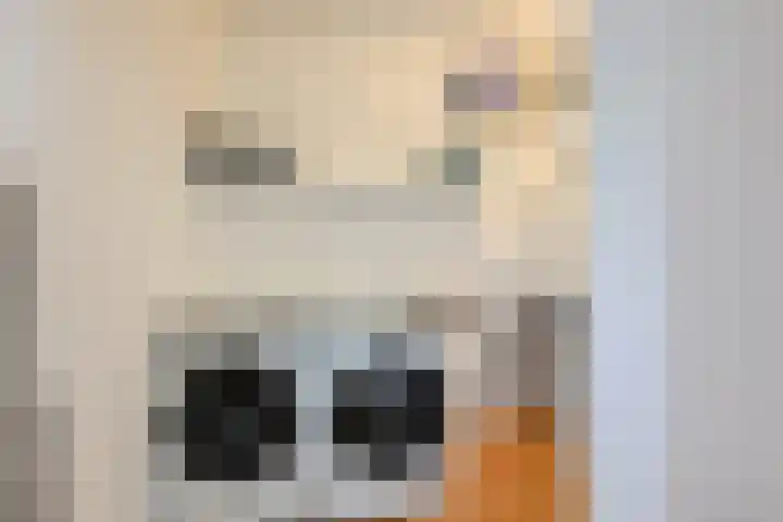 Spletting 17 Etten-Leur thumbnail 28