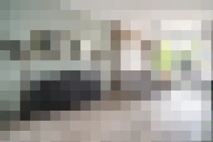 Splinterlaan 135 Leiderdorp thumbnail 12