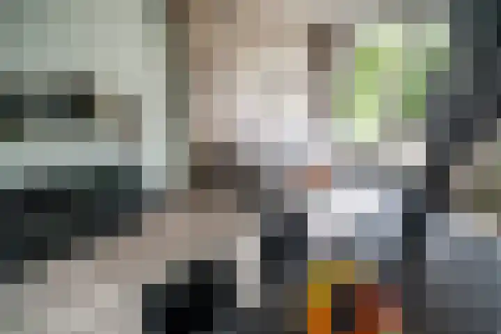 Splinterlaan 135 Leiderdorp thumbnail 14