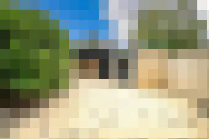 Splinterlaan 135 Leiderdorp thumbnail 15