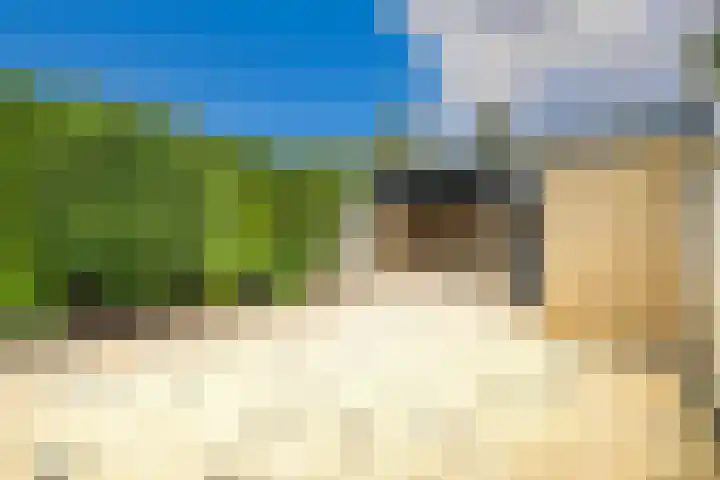 Splinterlaan 135 Leiderdorp thumbnail 16