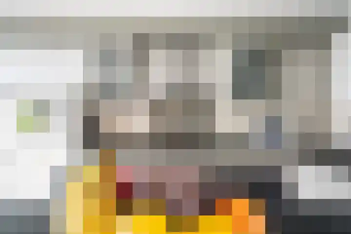 Splinterlaan 135 Leiderdorp thumbnail 21