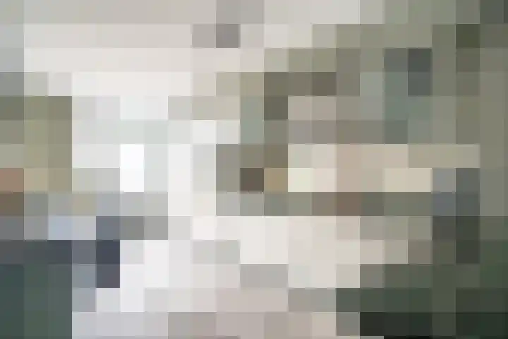 Splinterlaan 135 Leiderdorp thumbnail 22