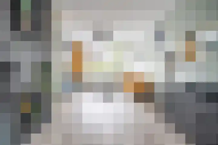 Splinterlaan 135 Leiderdorp thumbnail 24